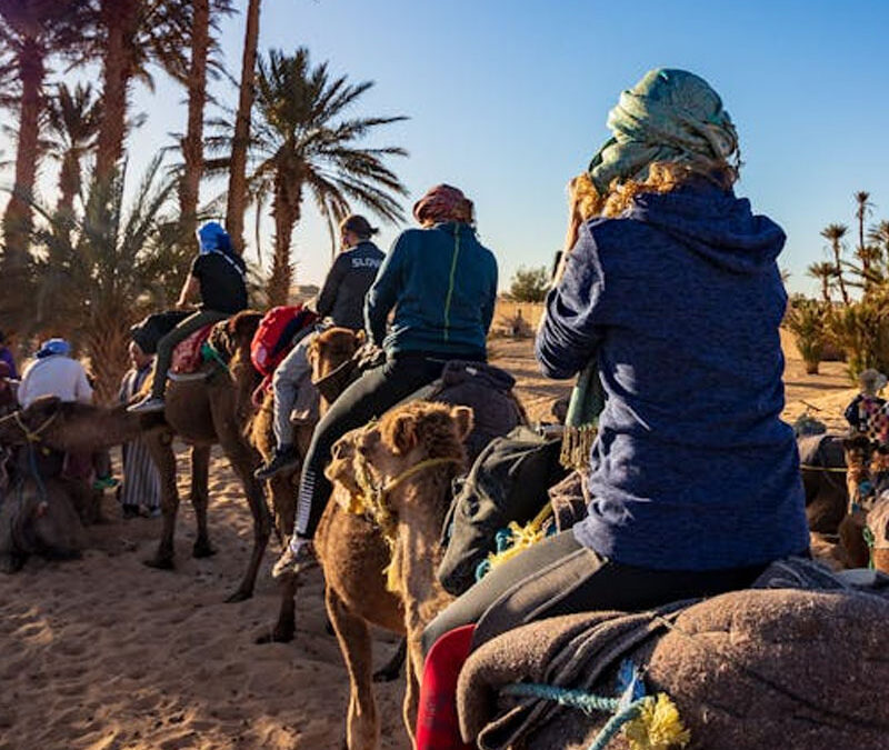 7-Day Desert Tour from Casablanca to Marrakech