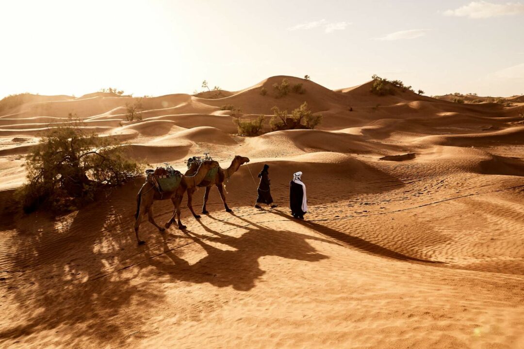 10-Day Morocco Tour from Tangier to Marrakech via Fes and Desert 